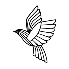 LacyBird