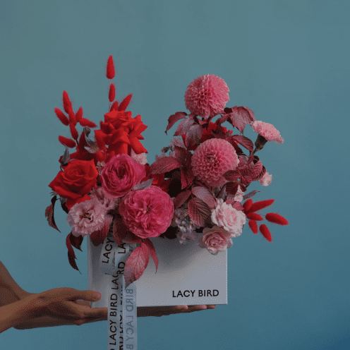 Lacy Bird Academy