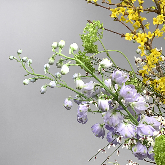 Полёт весны