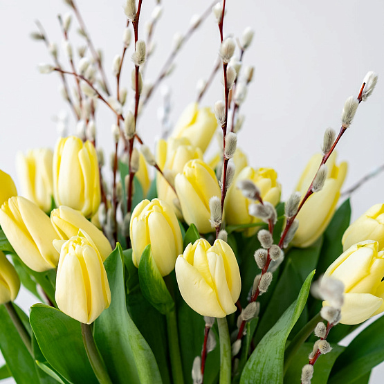 Тюльпаны с вербой