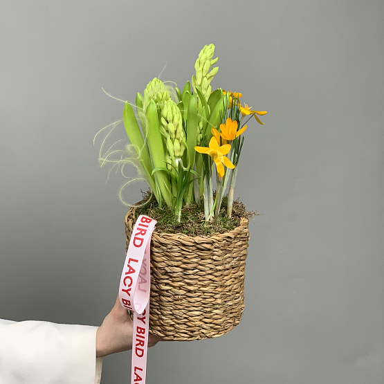 пробуждение весны