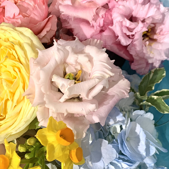 The triumph of color