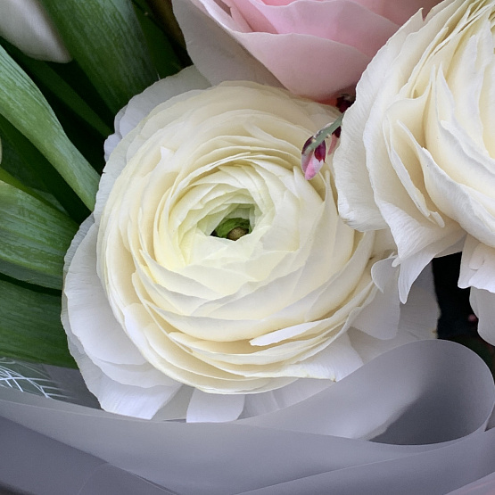 Мгновение весны