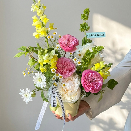 Солнечный зайчик