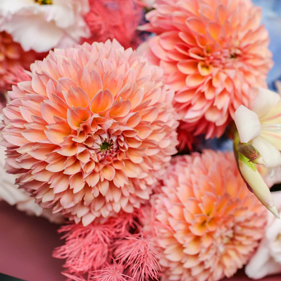 “Prague” Signature Bouquet