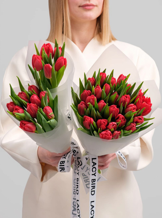 Моно тюльпанов красных