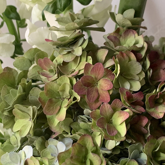 Букет недели «Горный ручей»