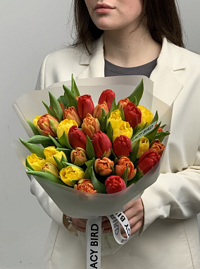 Яркие краски 