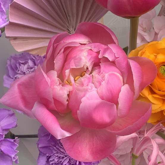 Кружевные мысли