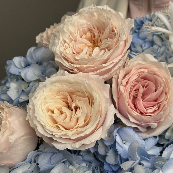 Край небосвода