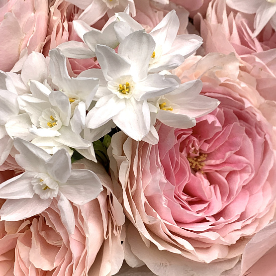 Сияние весны