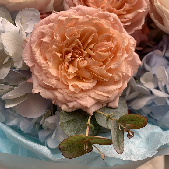 Лазурный рассвет 