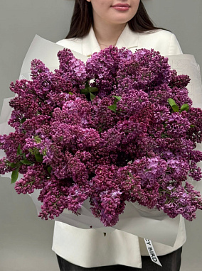 Монобукет из сирени