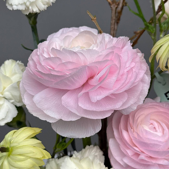 Звучание нежности 