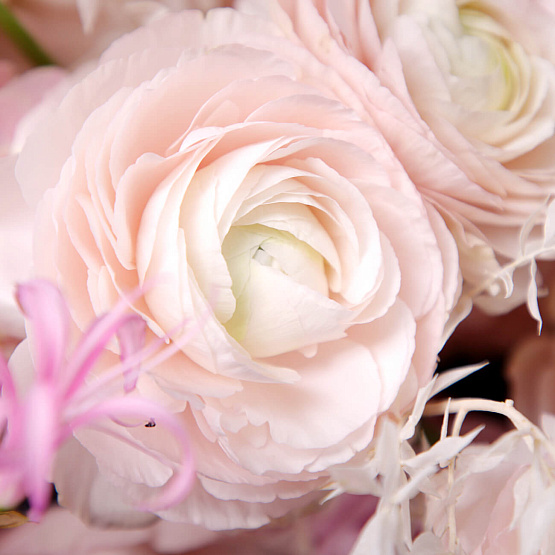 Коробка с цветами «Любовные истории»