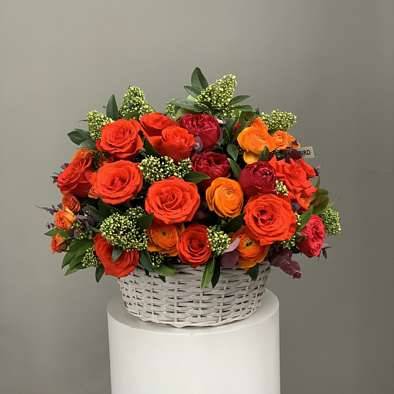 Поляна красок