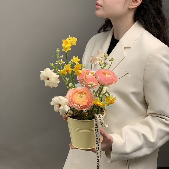 Краски солнца 