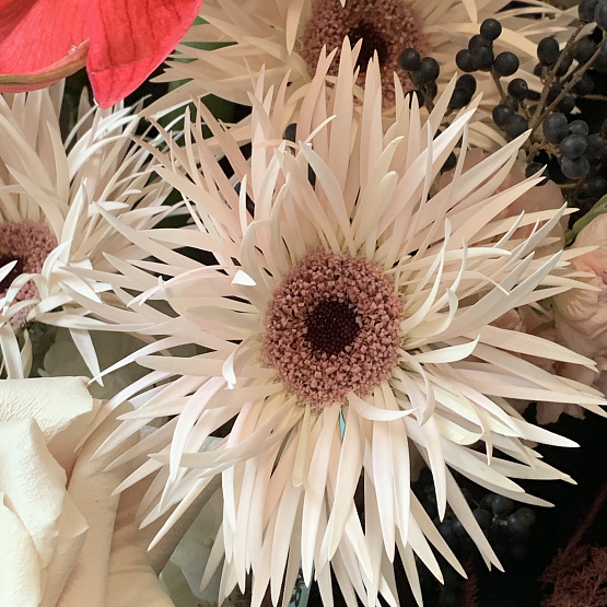 Безмолвная страсть