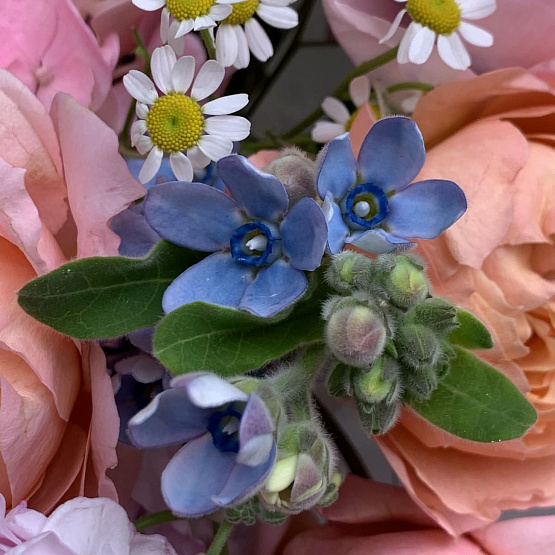 Блики рассвета