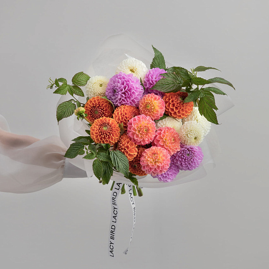 Микс из георгинов