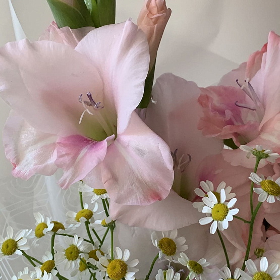 Summer tenderness