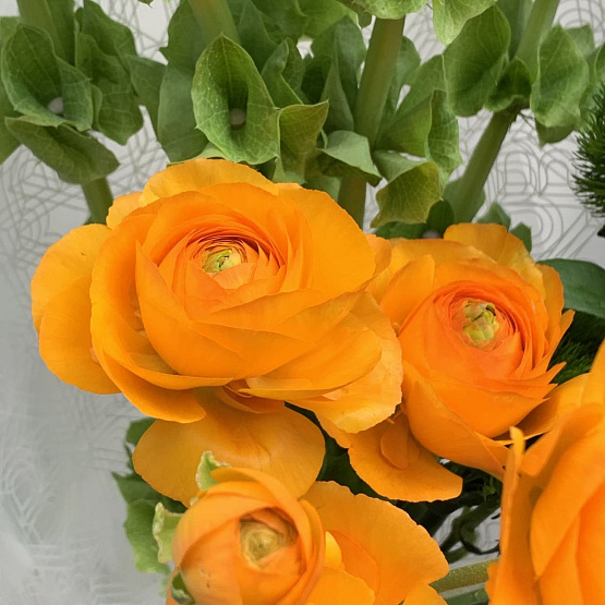 Сет для дома Грин