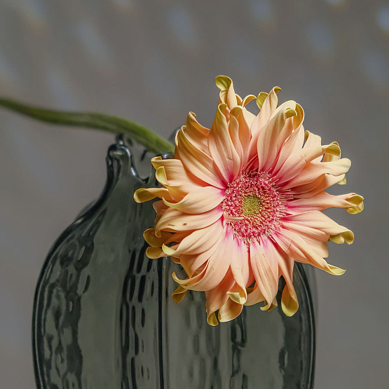 “Pomegranate” Vase (S)