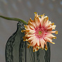 “Pomegranate” Vase (S)