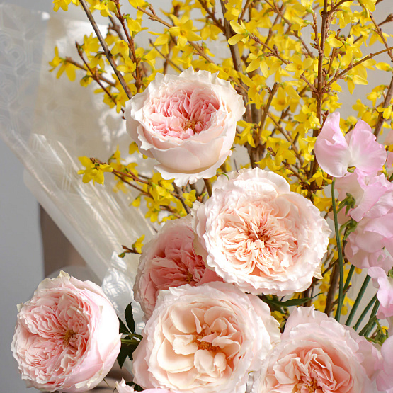 Композиция, сет №10