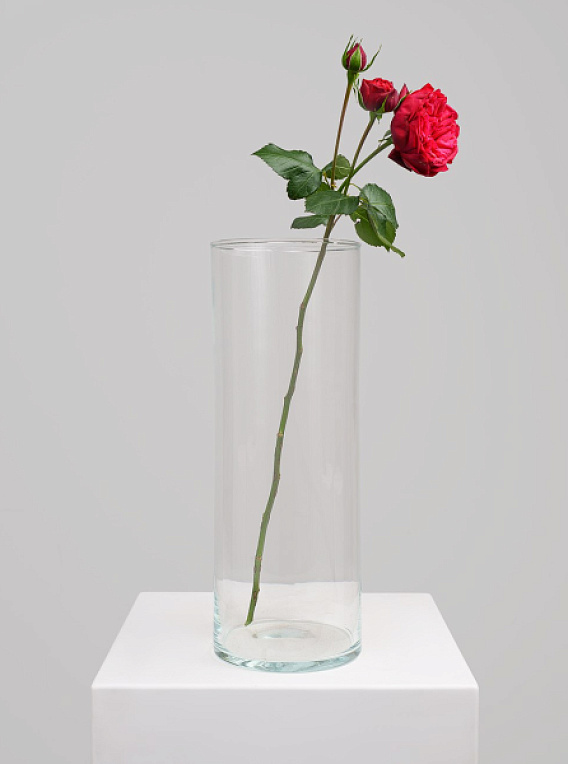 Ваза «Прозрачный баланс»