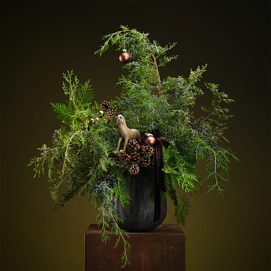 Сет №5 «Тайны леса»