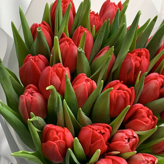 Стрела Амура