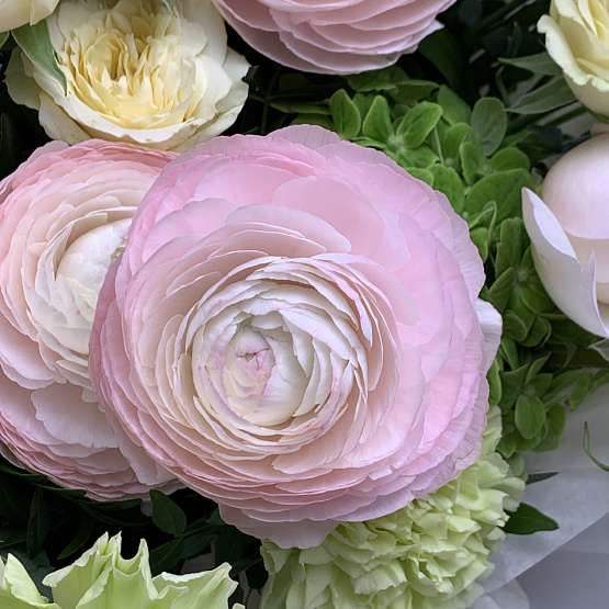 Весенняя свежесть 