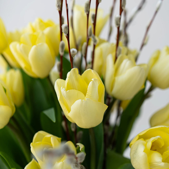 Тюльпаны в вазе