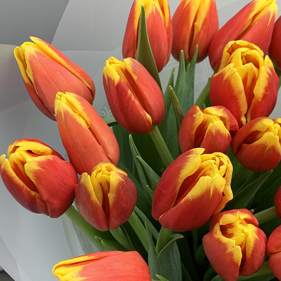 Яркое мгновение 