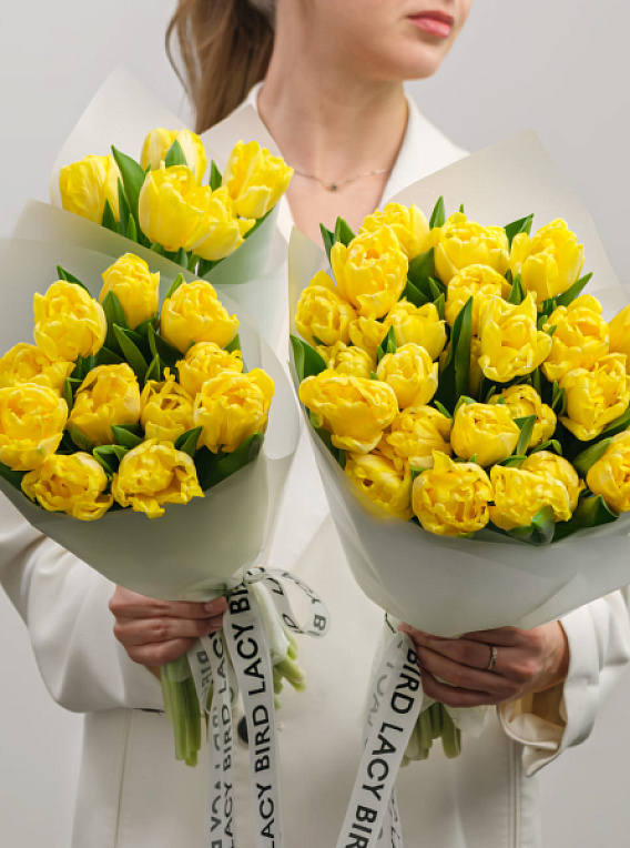 Моно тюльпанов желтых