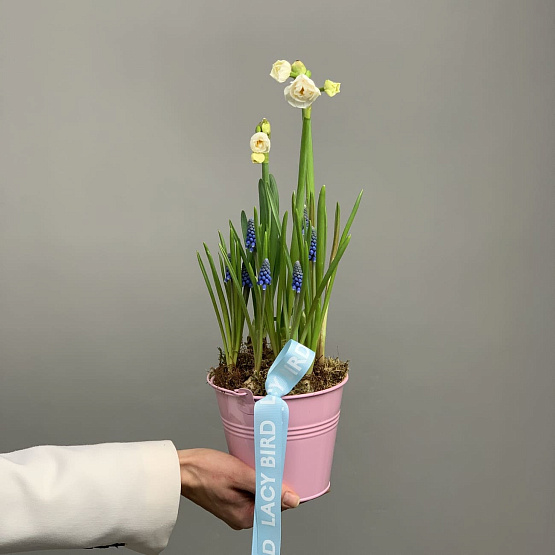 Дневной рассвет