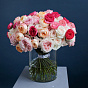 101 Garden Roses Mix