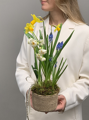 Ласковые слова