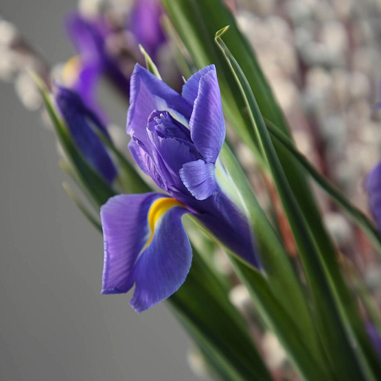 Сет для дома к Пасхе «Живая роса»