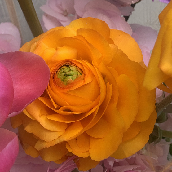 Кружевные мысли