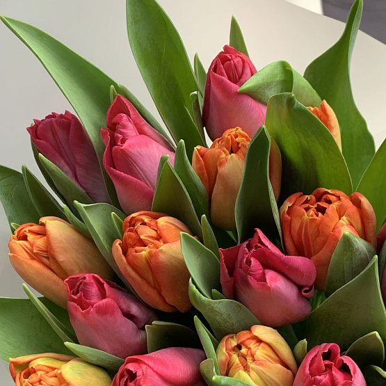 Яркий акцент