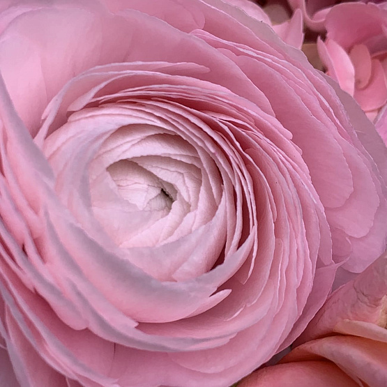 Весенние мотивы