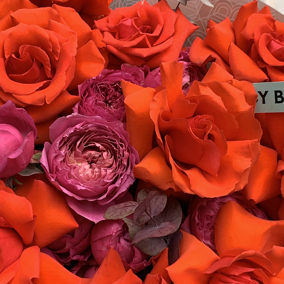 Алое мгновение 