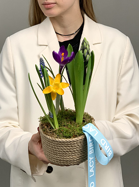 весенние пташки