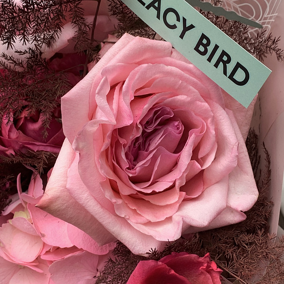 Дерзкая фуксия