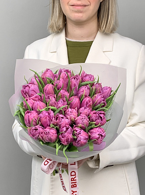 сиреневые тюльпаны