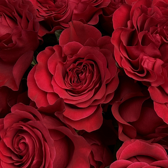 Сильные чувства 