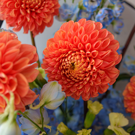 “Garibaldi Waves” Trio Bouquet