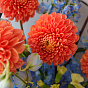 “Garibaldi Waves” Trio Bouquet